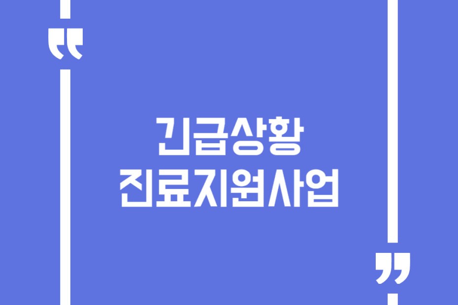 긴급상황 진료지원사업