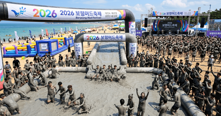 보령머드축제